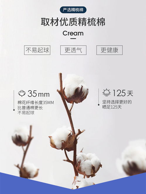 《潮起之夏 汤河之作与文化印记》